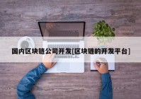 国内区块链公司开发[区块链的开发平台]