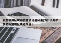 新加坡成区块链创业公司避风港[为什么那么多的新加坡区块链项目]